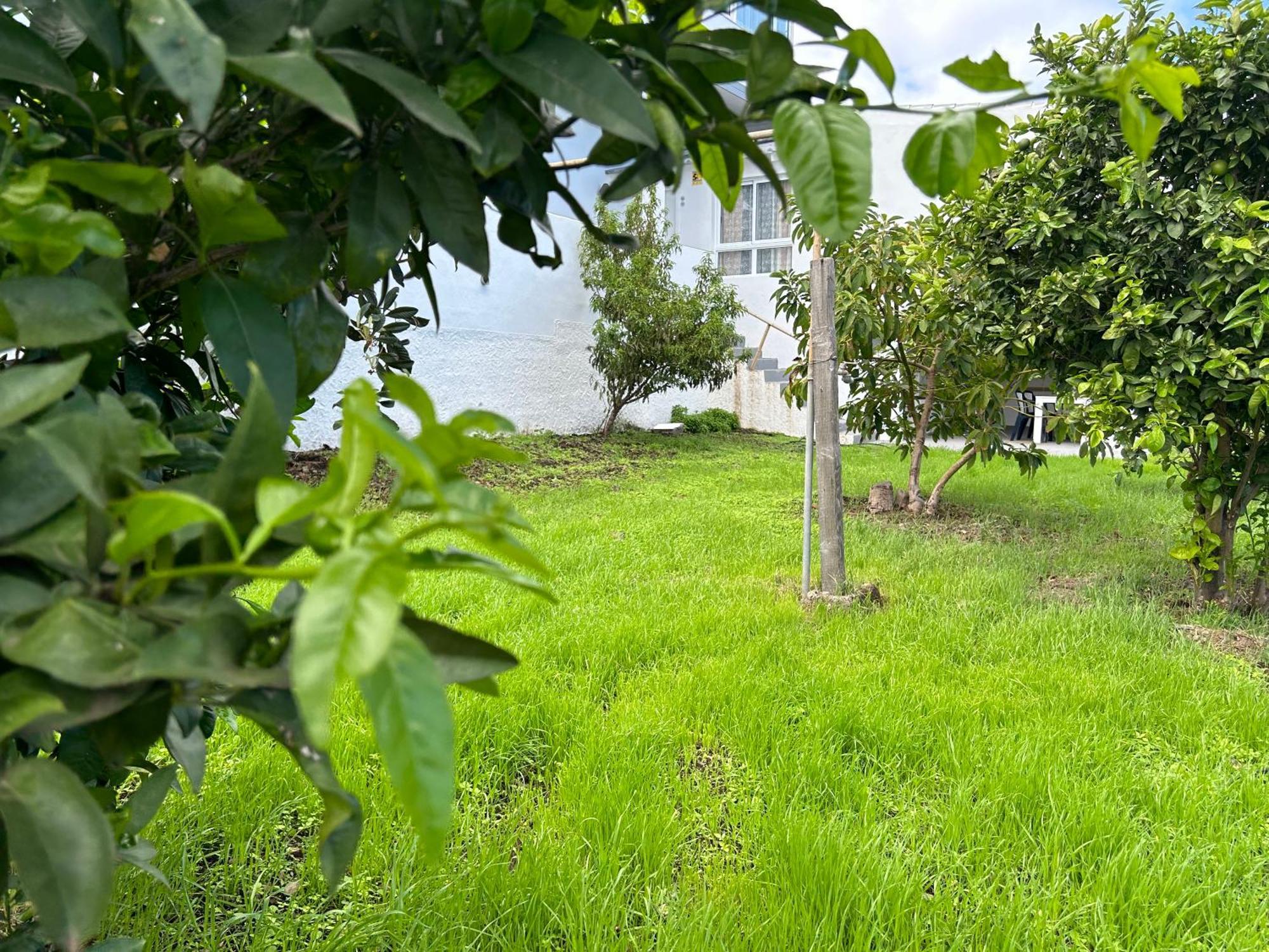 Apartament Casa La Oliva Garachico  Zewnętrze zdjęcie
